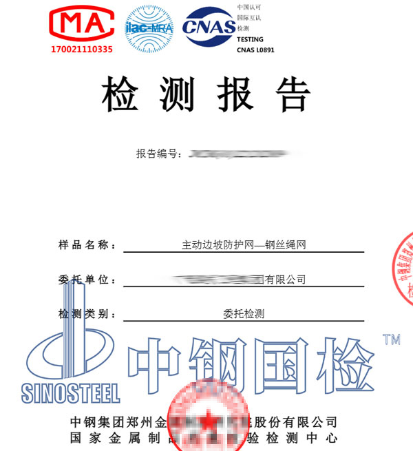 邊坡防護(hù)網(wǎng)檢測報(bào)告